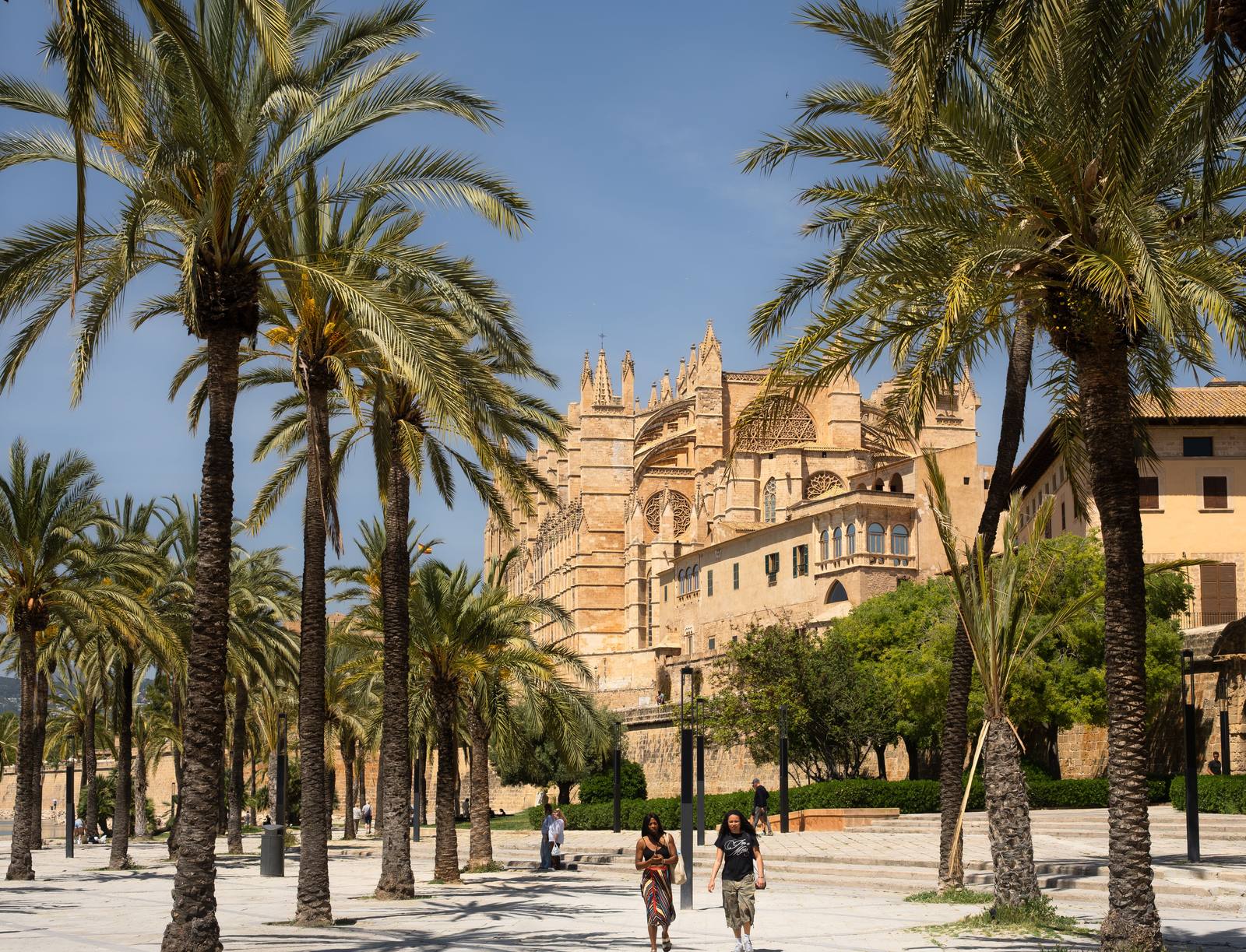 Jachthaven van Palma de Mallorca met de kathedraal op de achtergrond